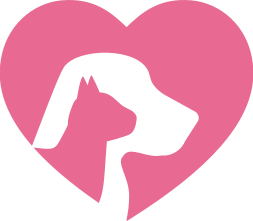 Spay Log - Spaying it Forward